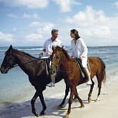 Half Moon Resort offers Horse Riding packages